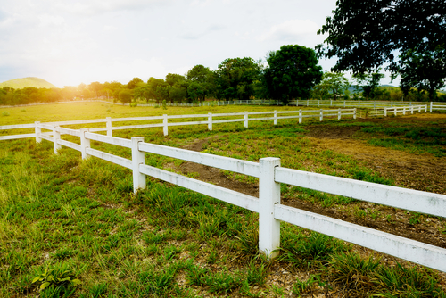 lifestyle-blocks-set-record-prices-interest-co-nz